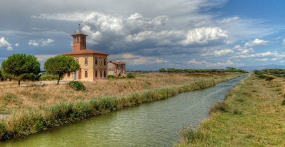 Immagine Investire su sostenibilità e innovazione conviene: la sfida dell'agricoltura, anche toscana